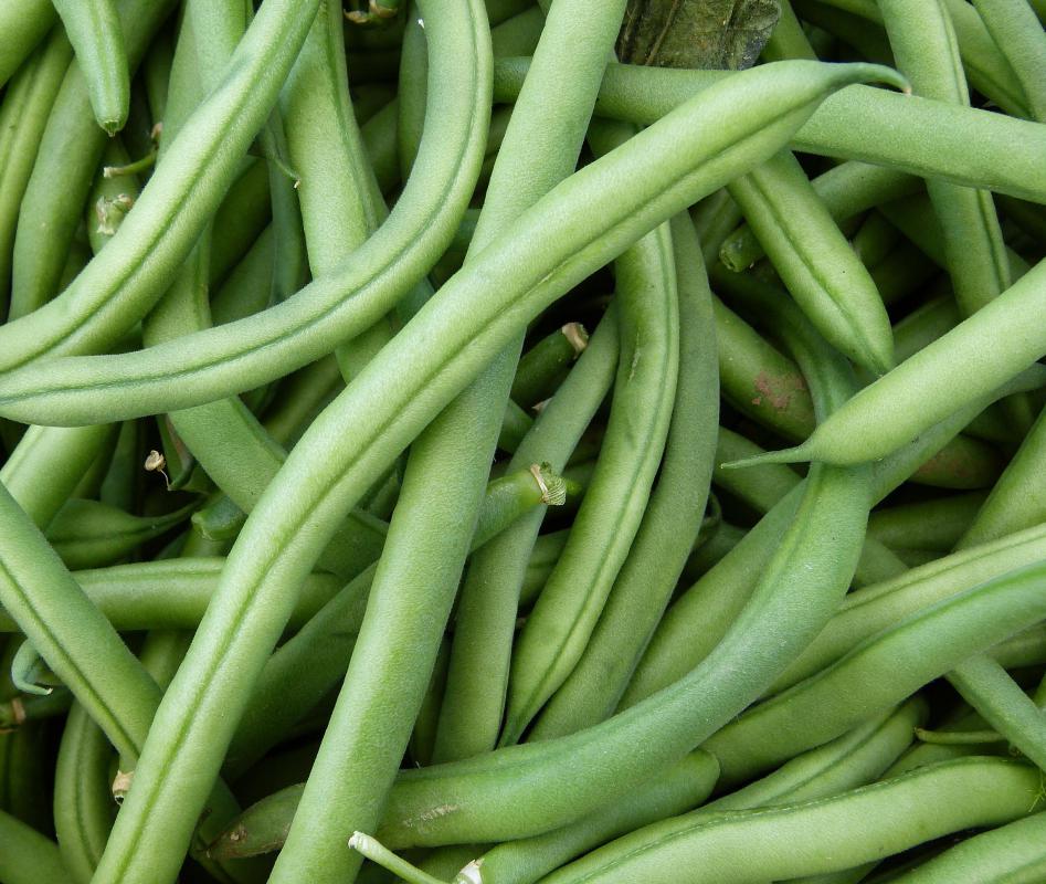 Green Beans